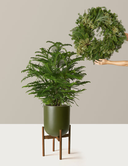 Holiday Duo Deluxe