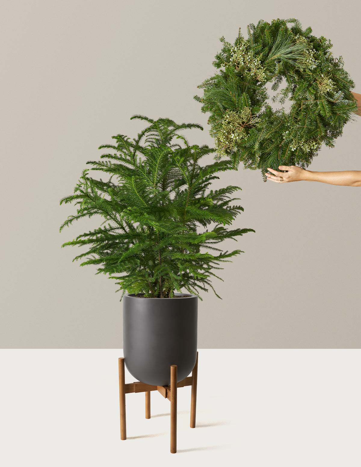 Holiday Duo Deluxe