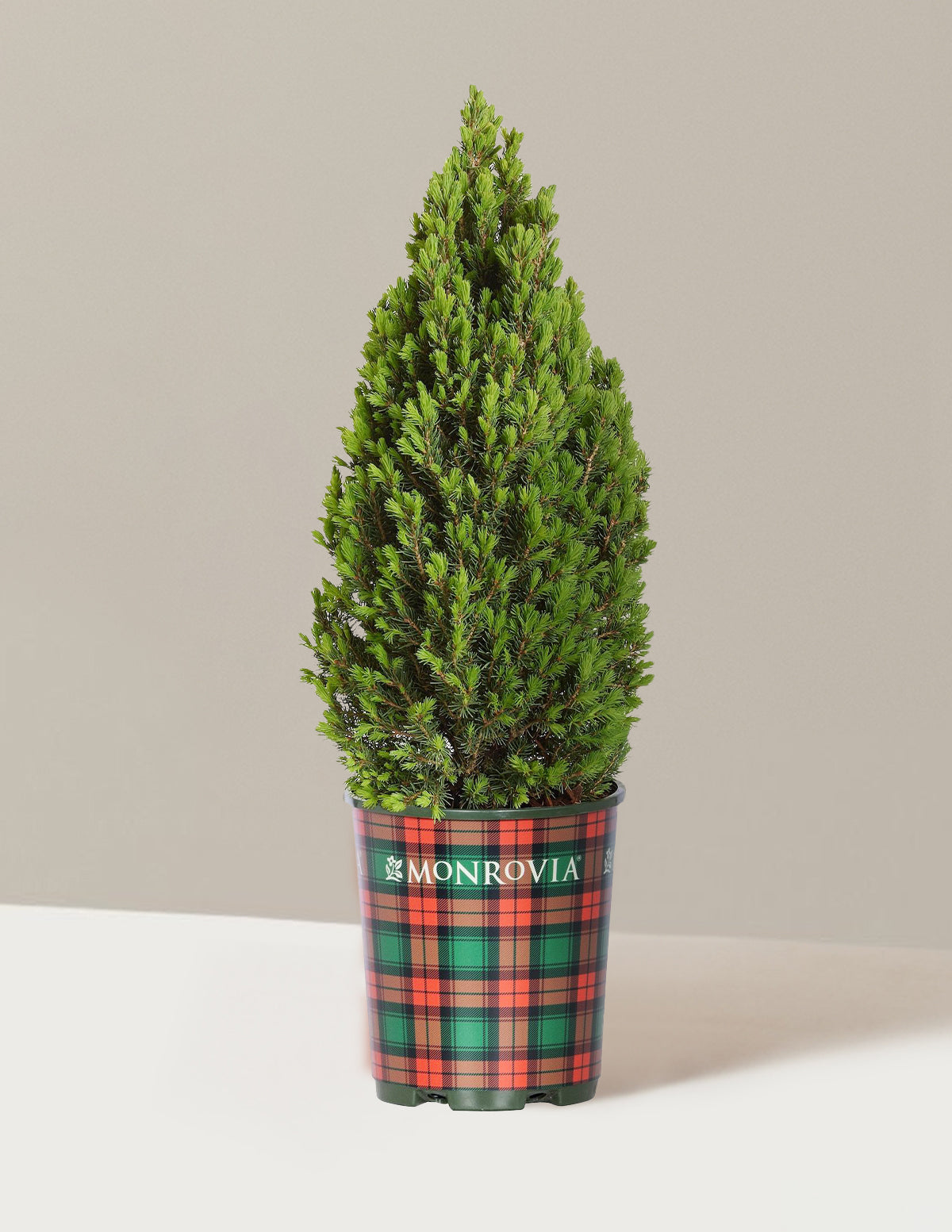 bundle | 1 Gallon | Grow Pot