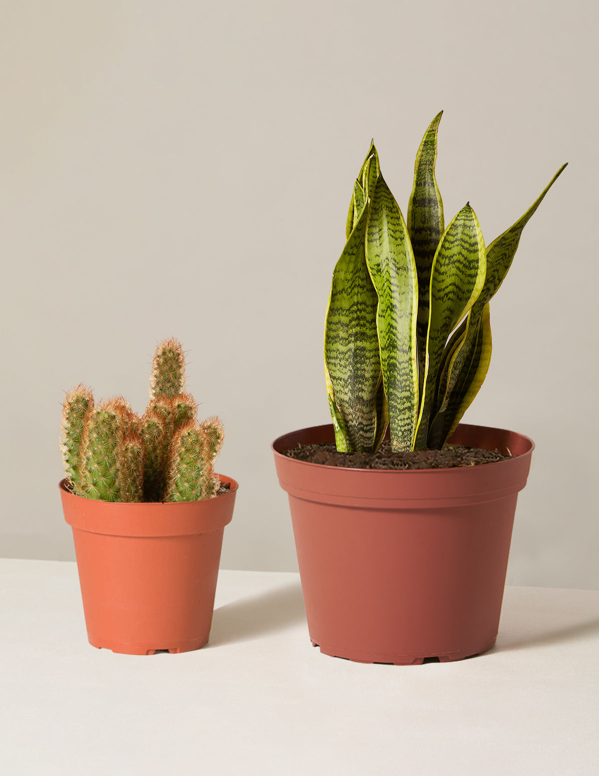 bundle | Small & Medium | Grow Pot