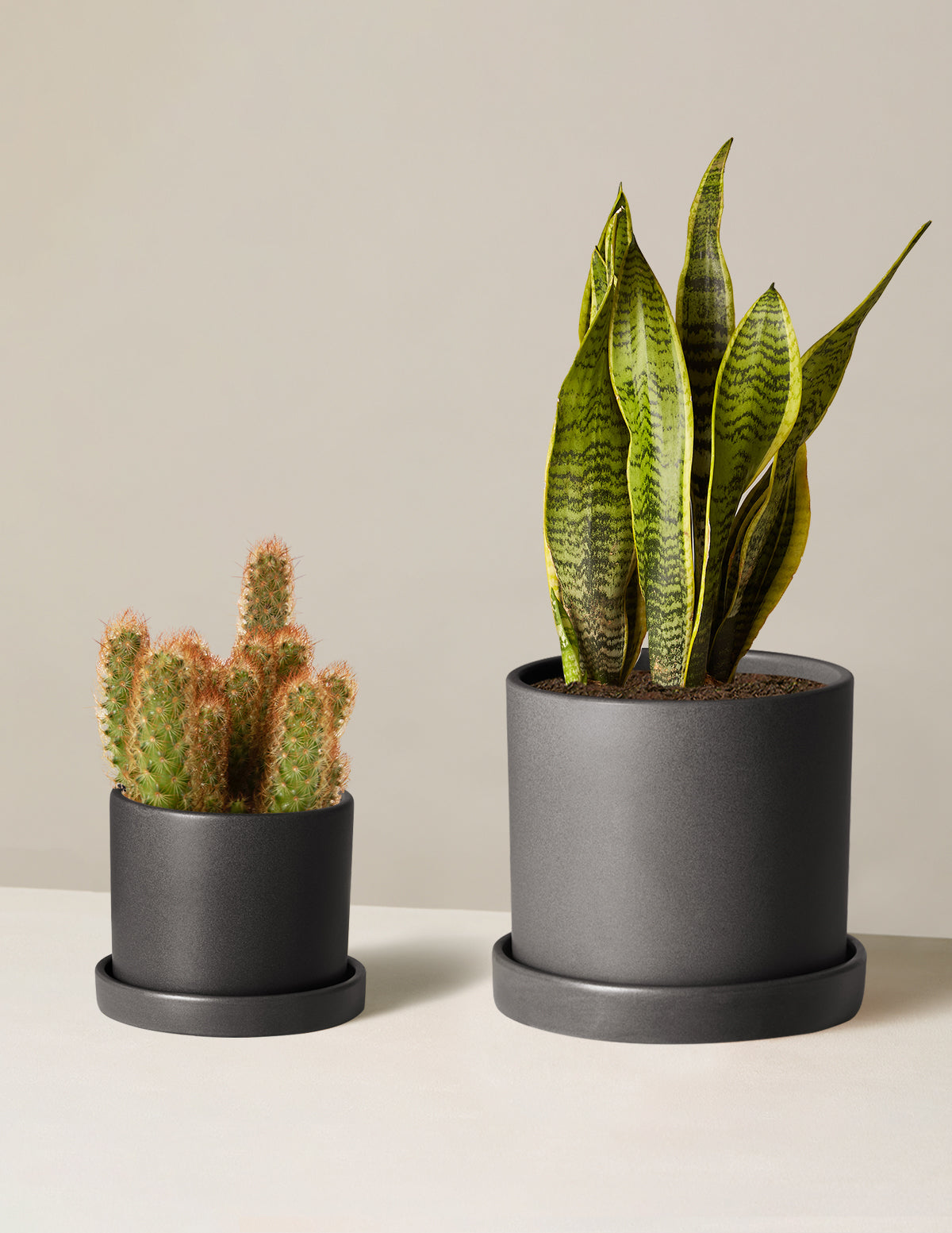 bundle | Small & Medium | Hyde | Black