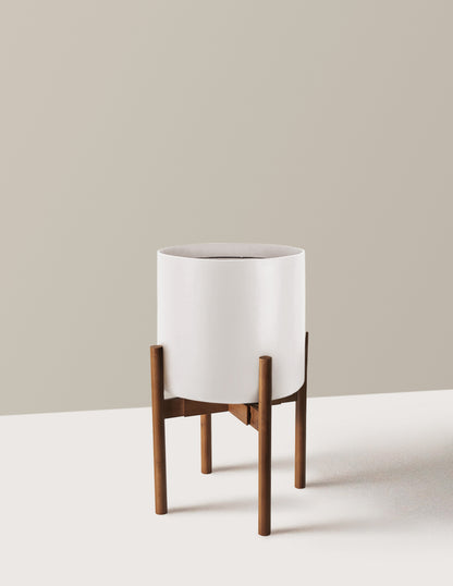 bundle | Large | Agnes | Cream