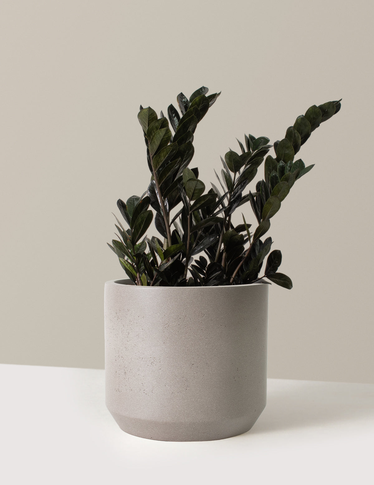 bundle | Large | Mexia | Cement Grey