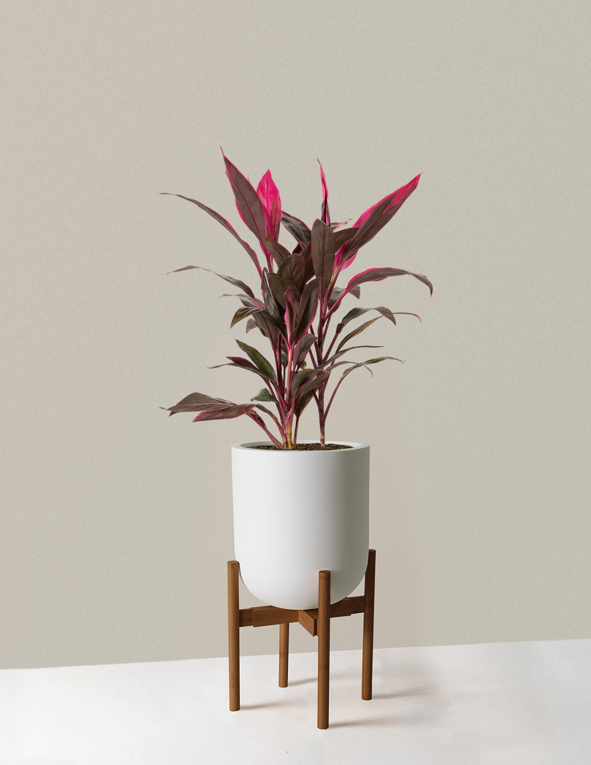 indoor plant pot and stand Large Pallas Planter
