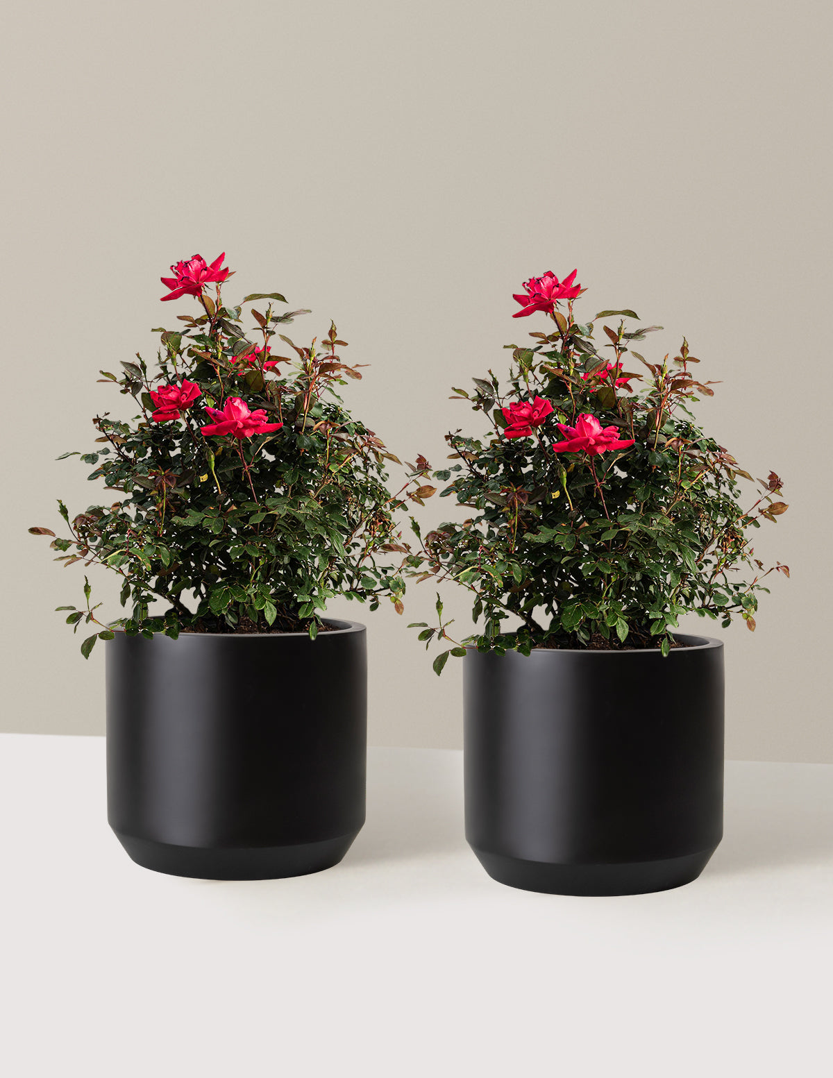 bundle | 3 Gallon - 2 Pack | Mexia | Black