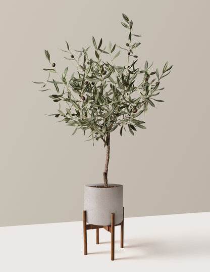 Faux Olive Tree