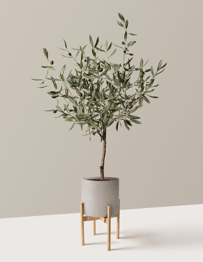 Faux Olive Tree