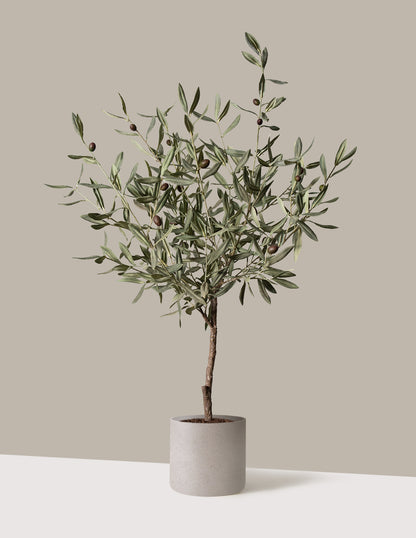 Faux Olive Tree