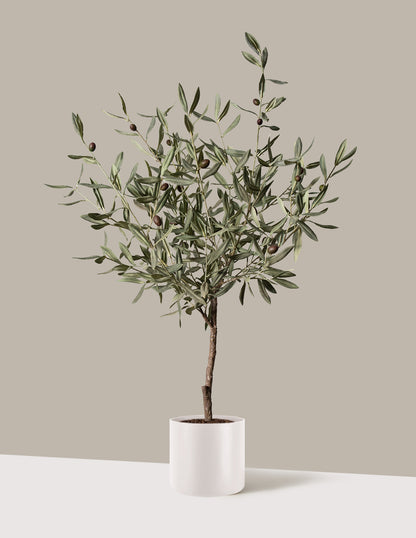 Faux Olive Tree