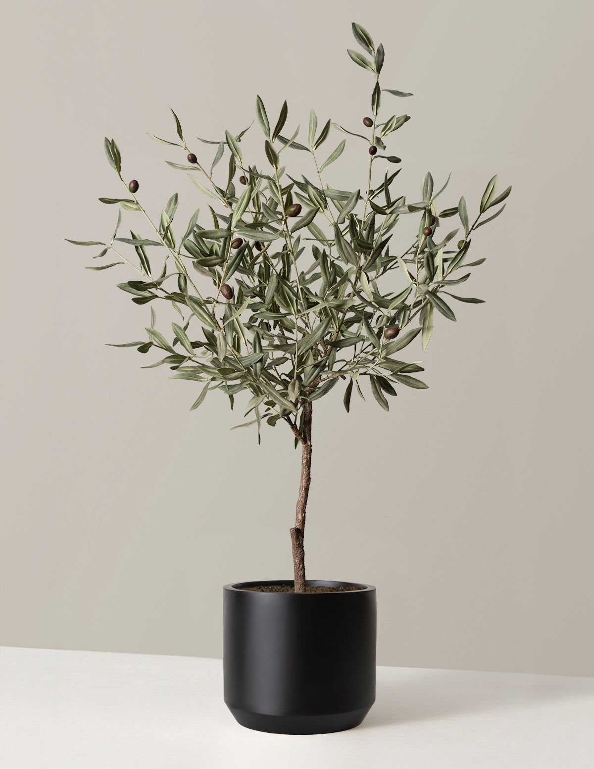 where to buy fake house plants Olive Tree (Copy) Houseplant