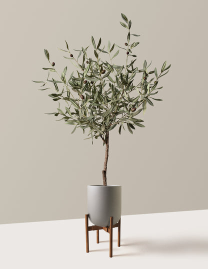 Faux Olive Tree