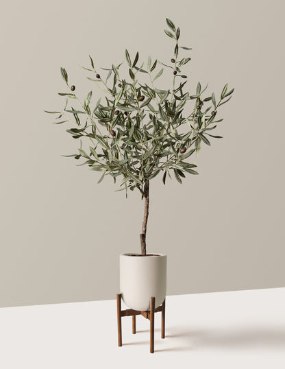 Faux Olive Tree