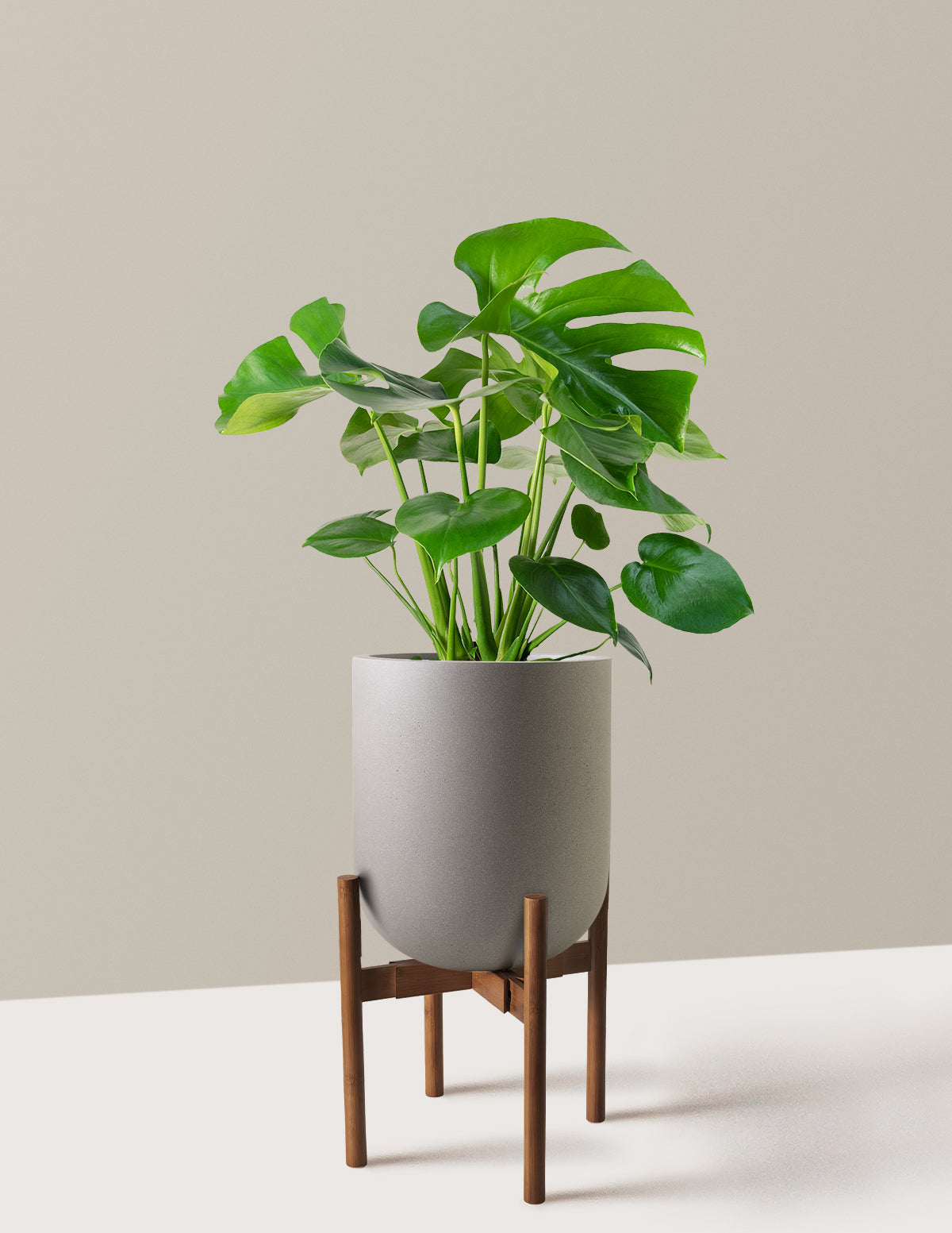 bundle | Large | Pallas | Cement Grey