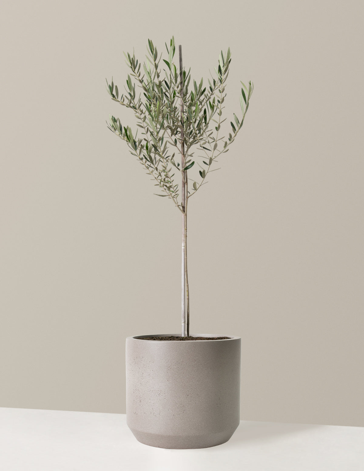 bundle | Large | Mexia | Cement Grey