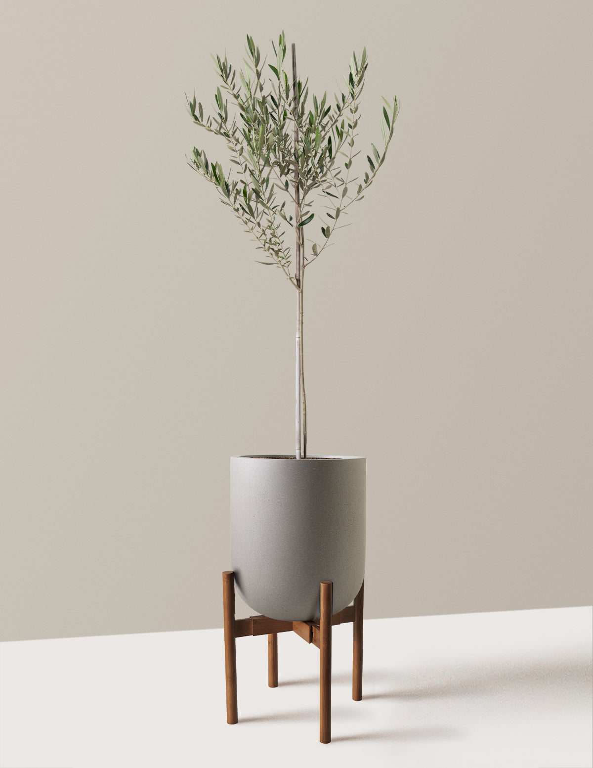 bundle | Large | Pallas | Cement Grey
