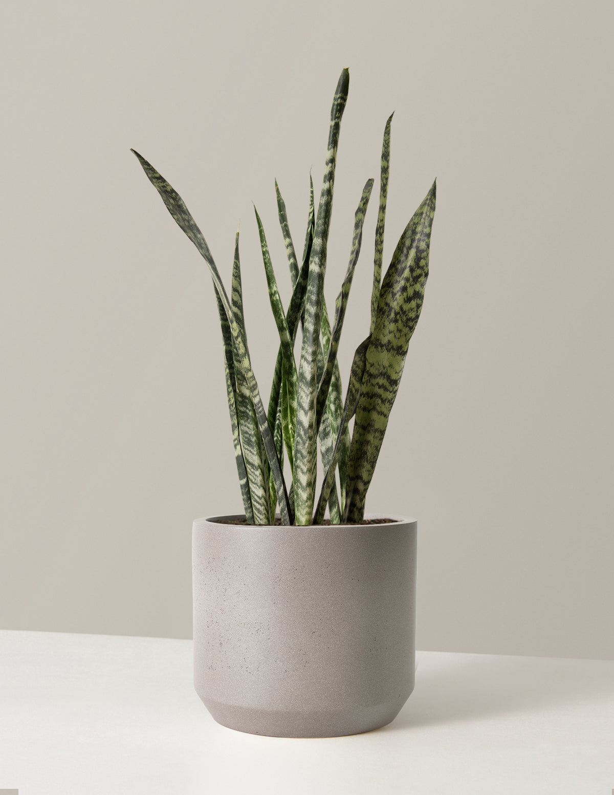 bundle | Large | Mexia | Cement Grey