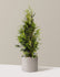 bundle | 3-4 ft. | Single | Agnes/Cement Grey