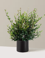 Yuletide Camellia