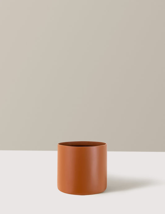 Agnes Planter