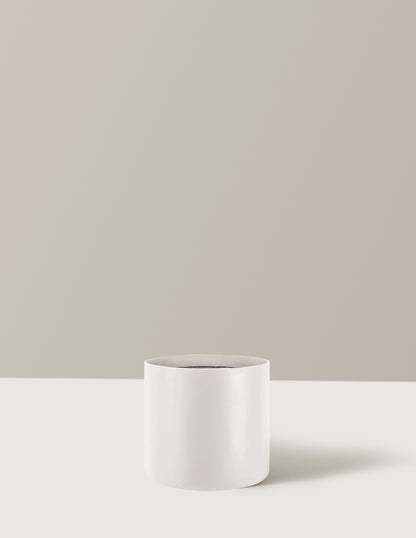 bundle | Large | Agnes | Cream