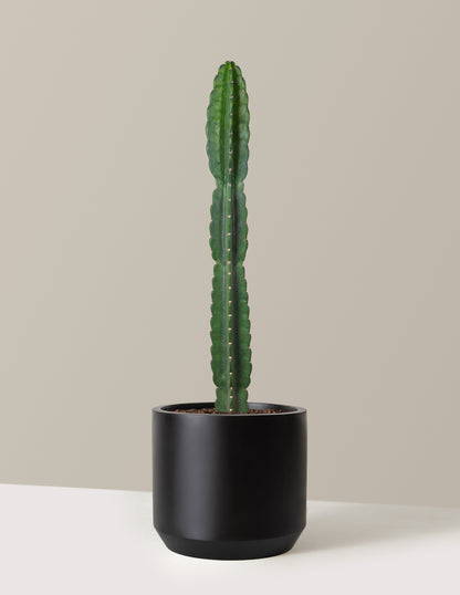 bundle | Large | Mexia | Black