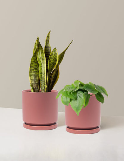 Living Room Duo
