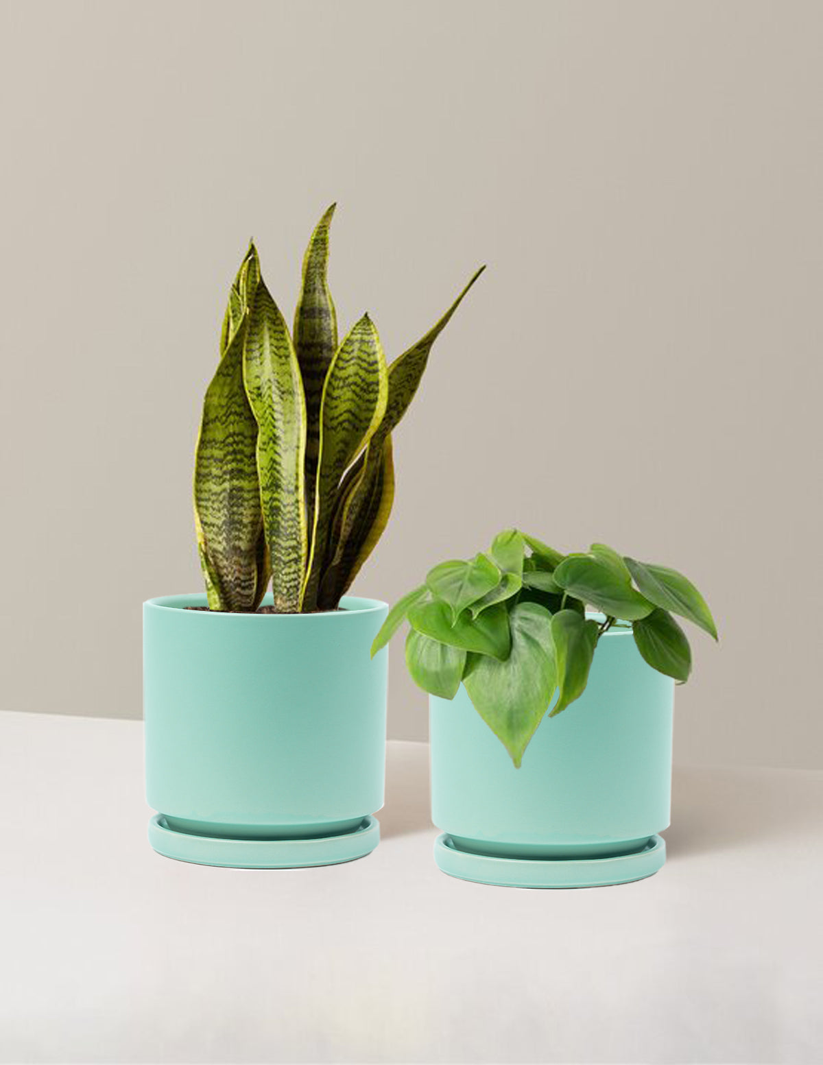 Living Room Duo