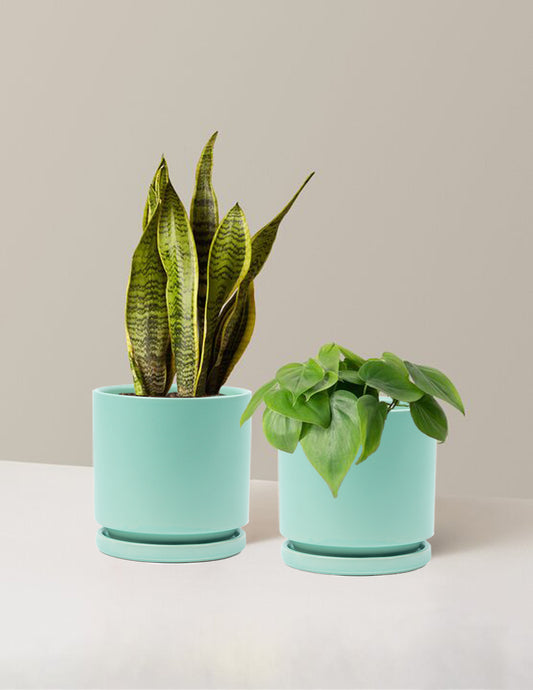 Living Room Duo