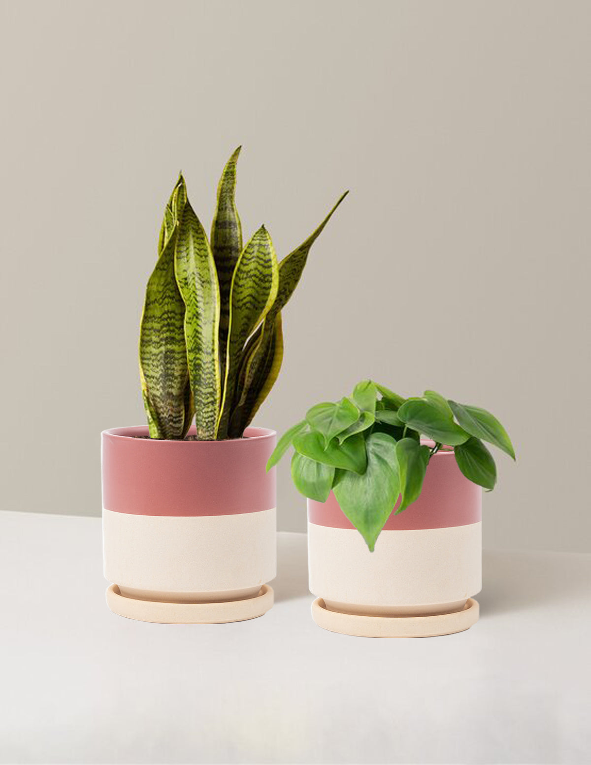 Living Room Duo