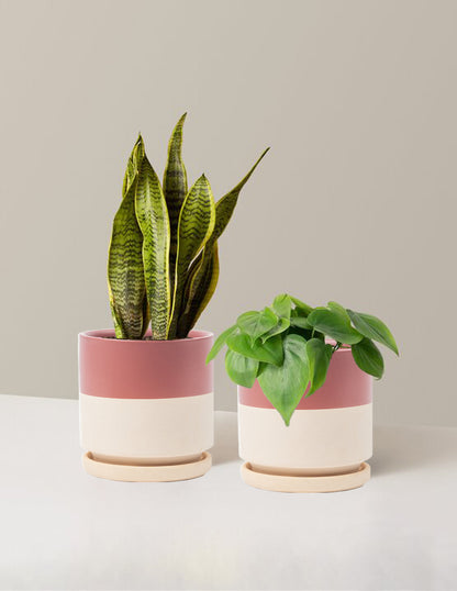 Living Room Duo