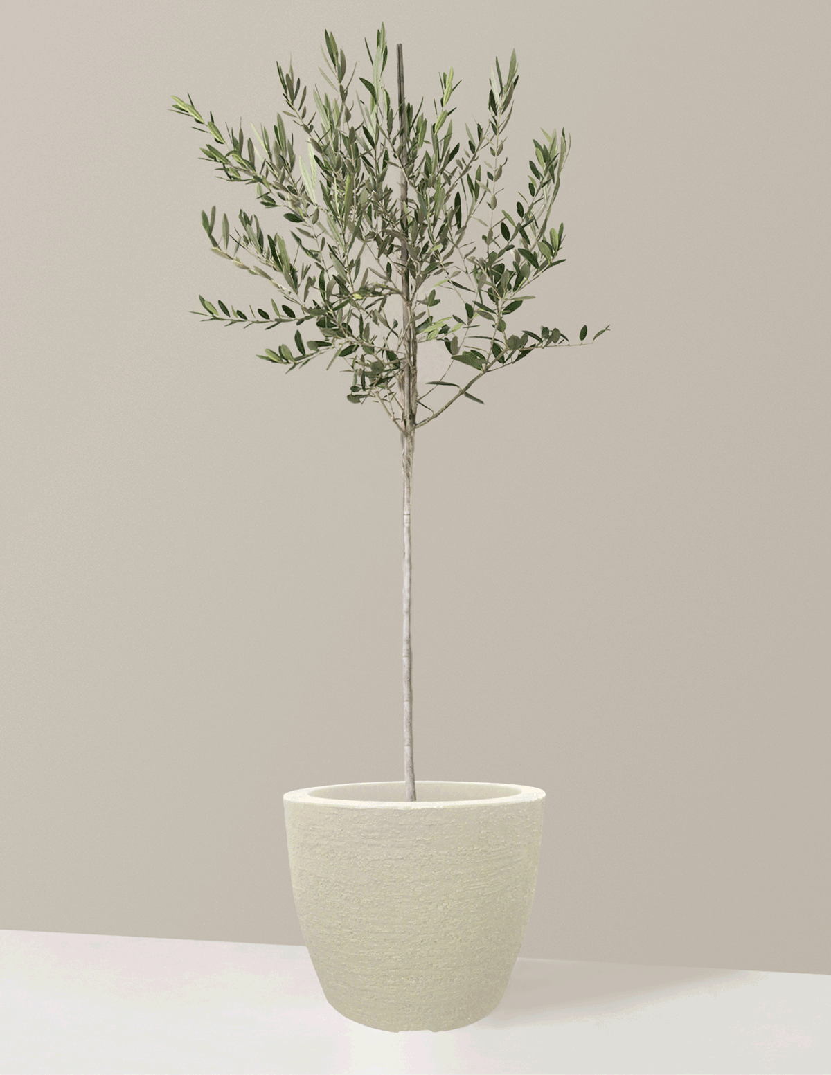 bundle | Extra Large | European | Sandstone