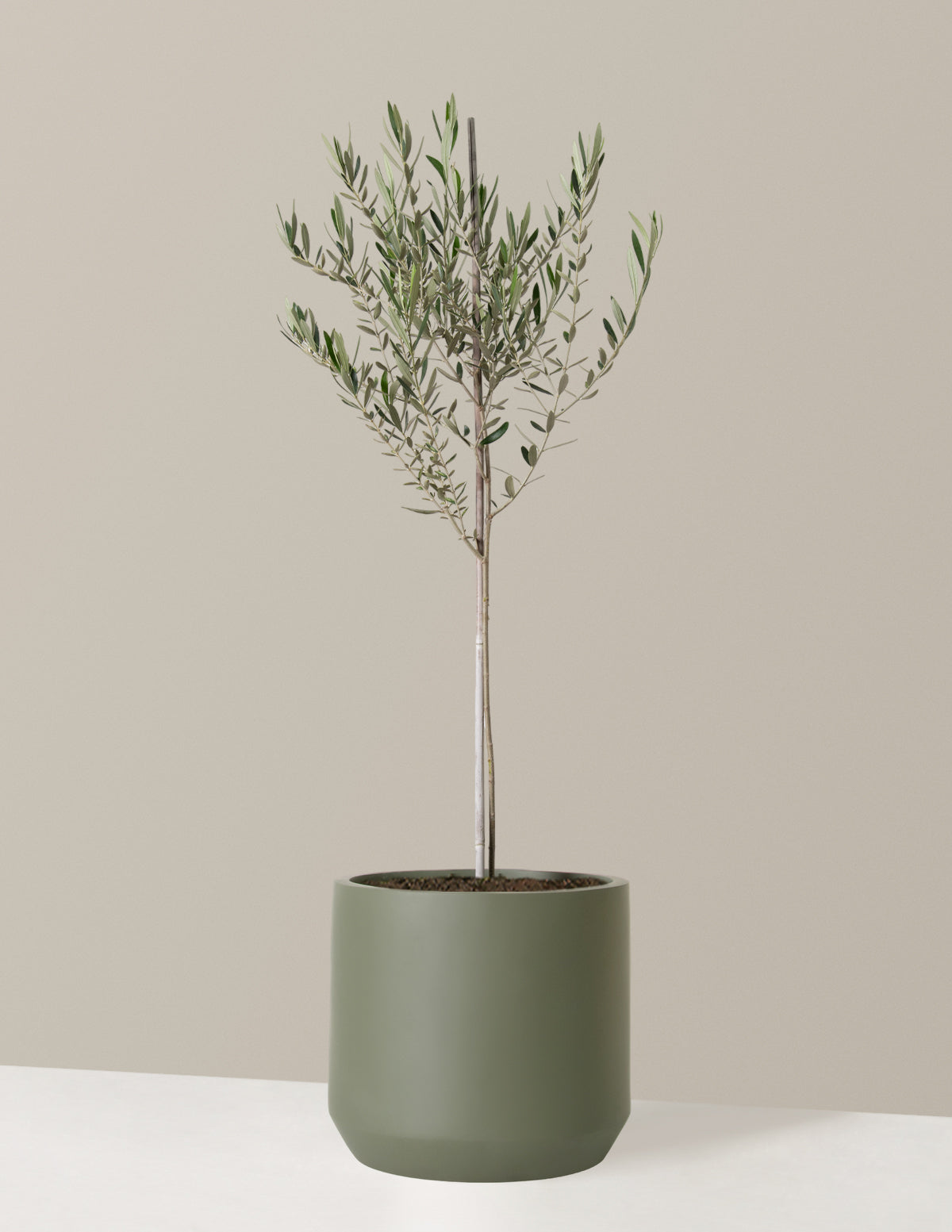 bundle | Extra Large | Mexia | Sage
