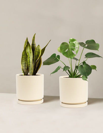 best plant pot Best Sellers Duo Houseplants