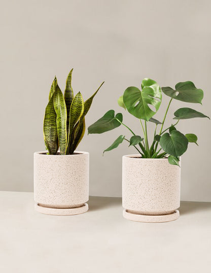 best pot for indoor plants Best Sellers Duo Houseplants