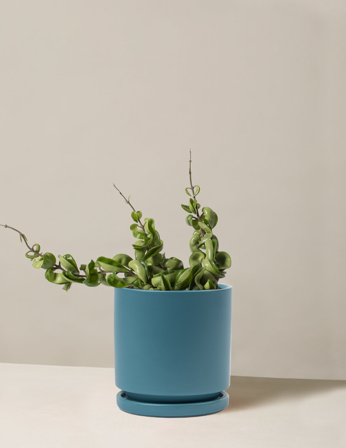 bundle | Medium | Isabella | Antique Teal