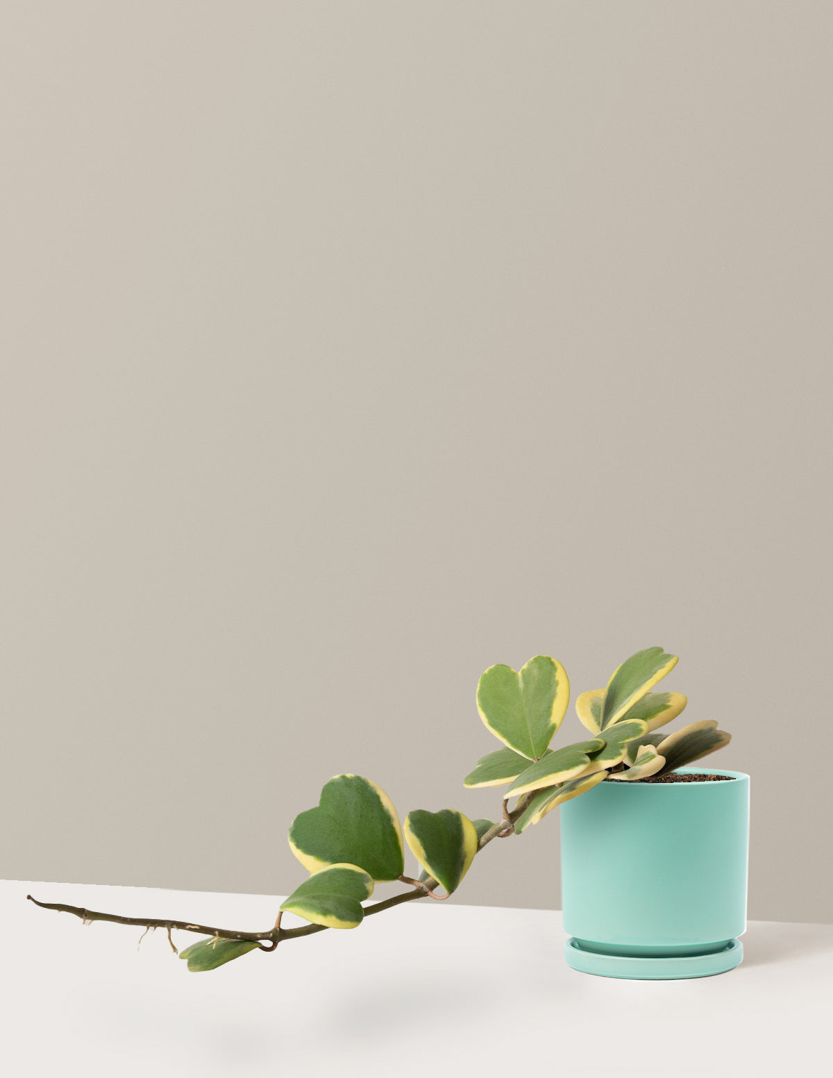 bundle | Medium | Isabella | Sea Glass