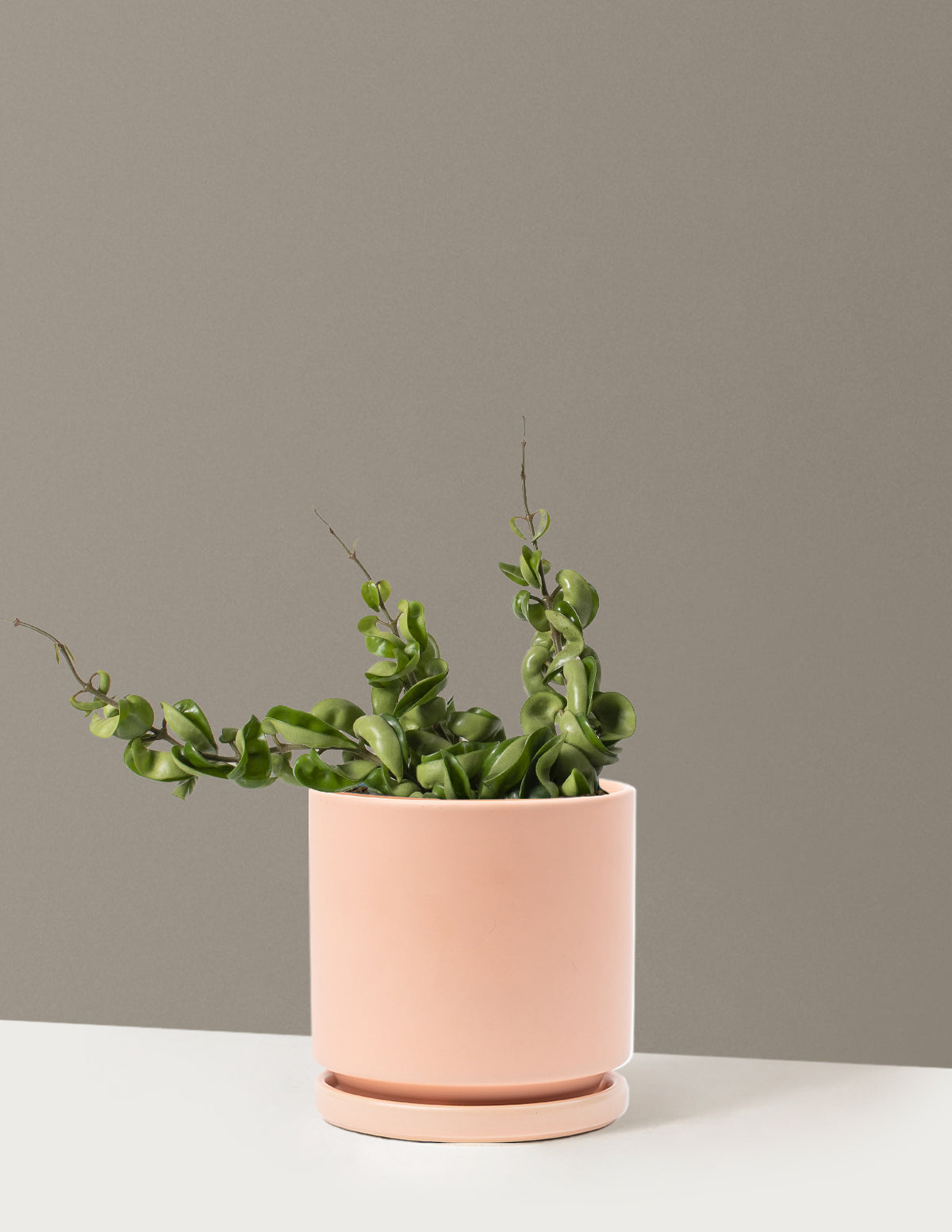 bundle | Medium | Isabella | Blush