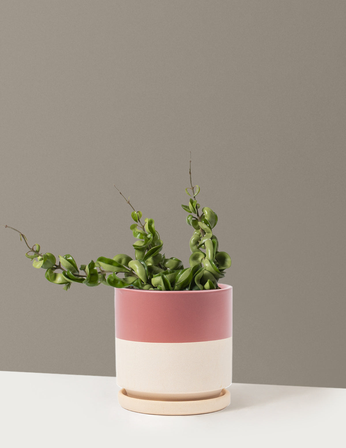 bundle | Medium | Isabella | Top Half Dusty Rose