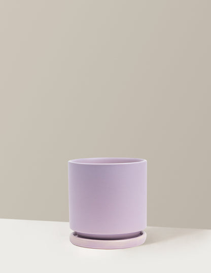 16 inch ceramic planter with saucer The Sill Isabella Planter, 8&inch, Large in Rocky Road