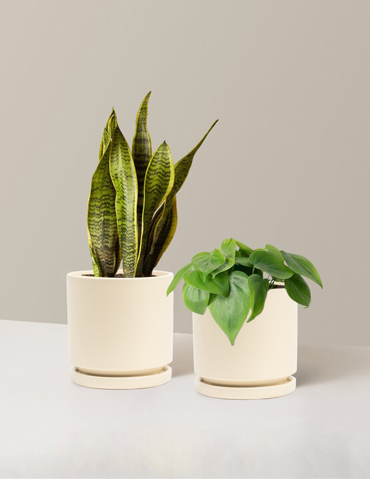 Living Room Duo