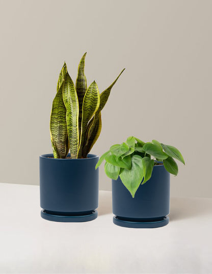 Living Room Duo