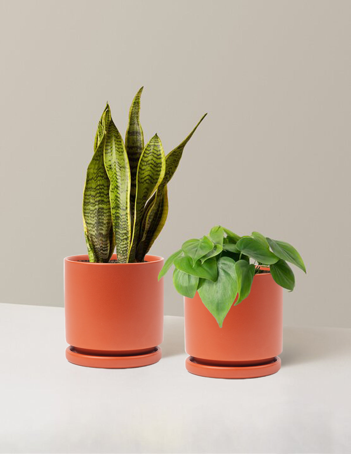 Living Room Duo