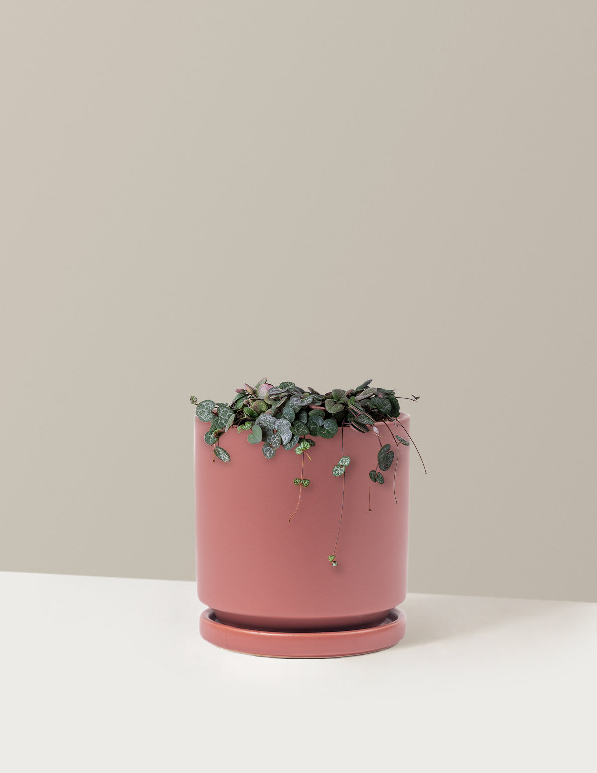 String of Hearts