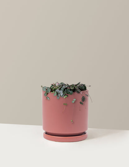 String of Hearts