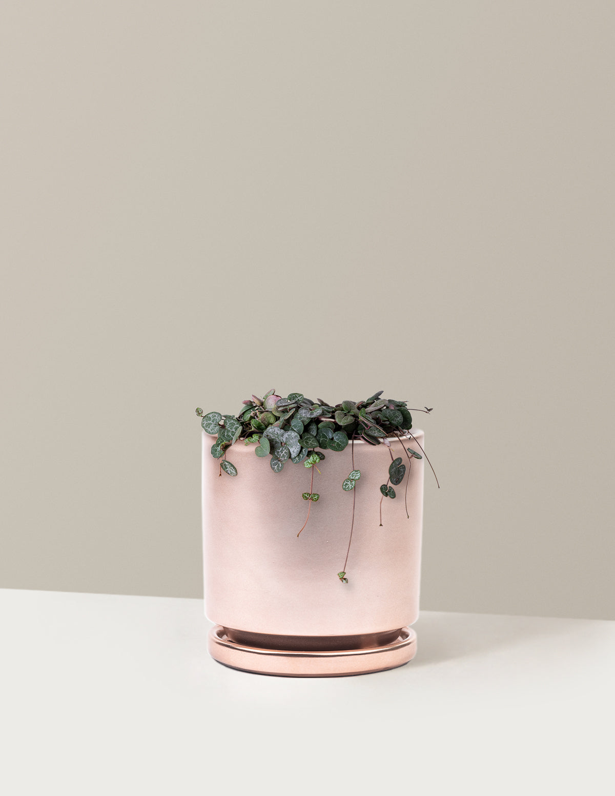 String of Hearts