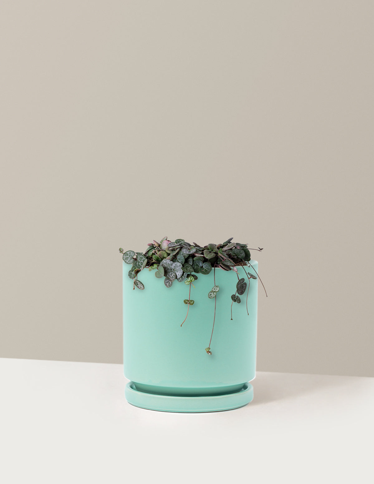 bundle | Medium | Isabella | Sea Glass