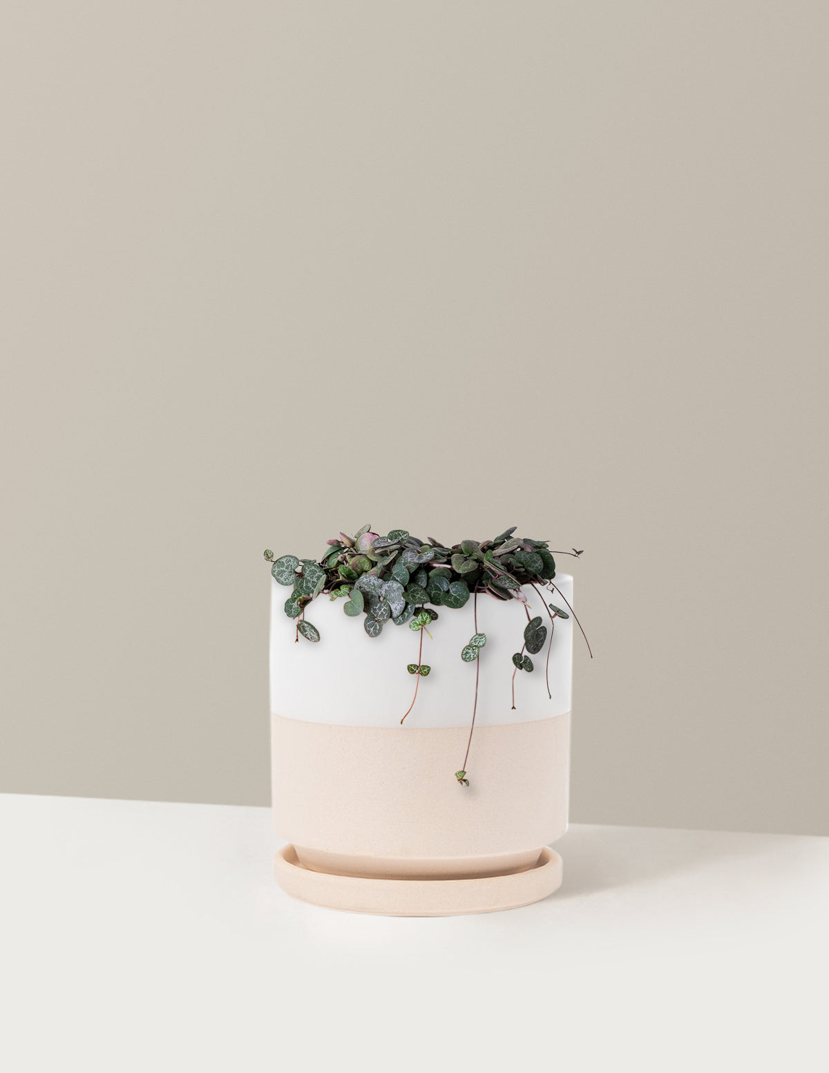 String of Hearts