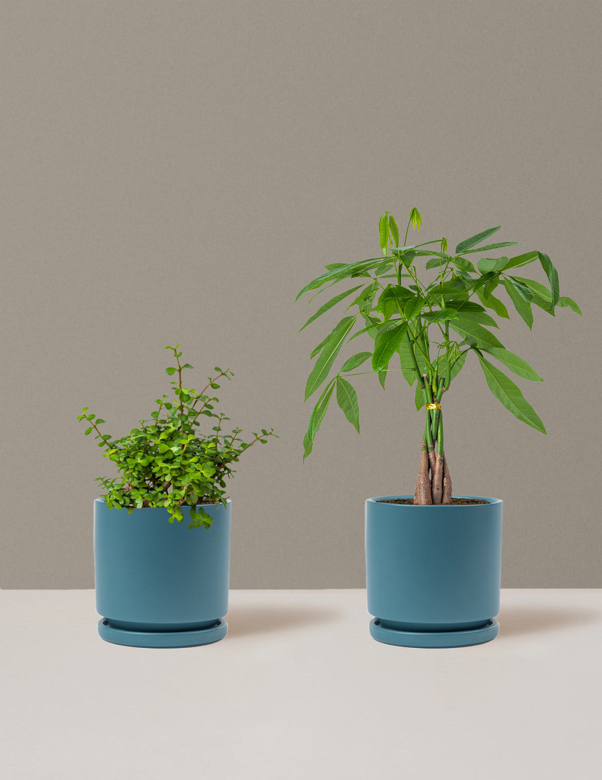 bundle | Medium | Isabella | Antique Teal