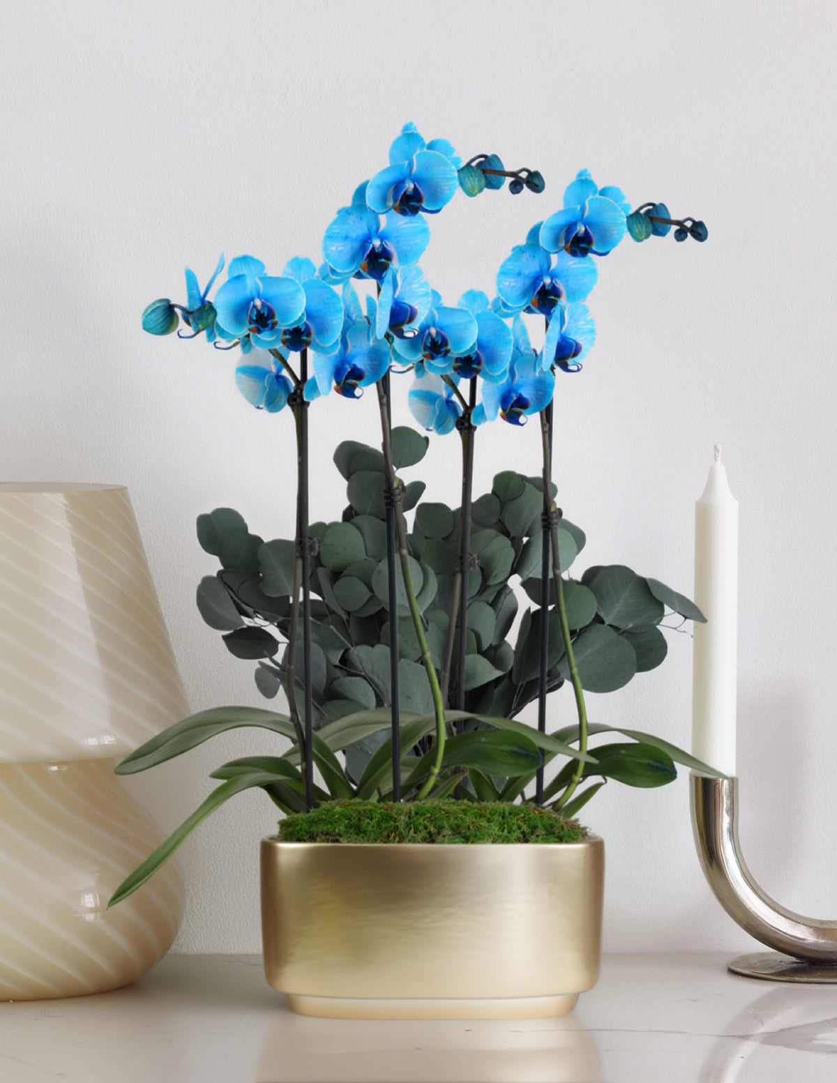 bundle | Watercolor Blue | Green Eucalyptus | Gold