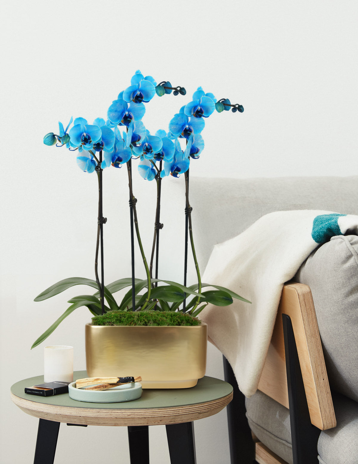 bundle | Watercolor Blue | Standard | Gold